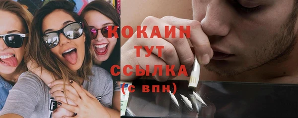 сатива Киреевск