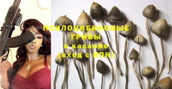 а пвп мука Кинешма