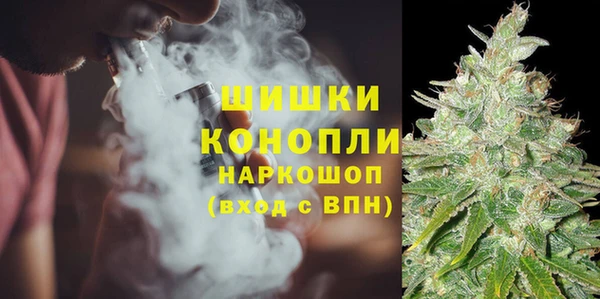 сатива Киреевск
