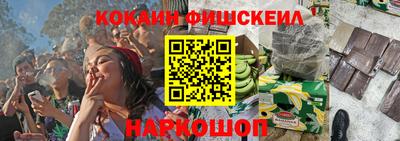 стаф Гатчина