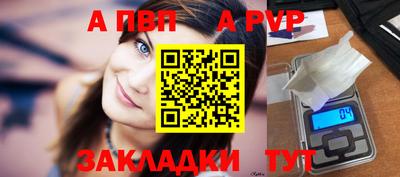 стаф Гатчина