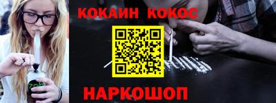 стаф Гатчина
