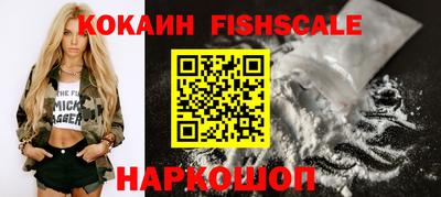 стаф Гатчина
