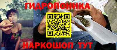 стаф Гатчина