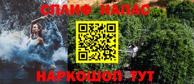 стаф Гатчина