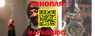стаф Гатчина