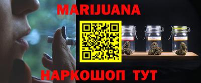 стаф Гатчина