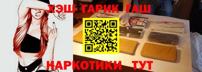 стаф Гатчина