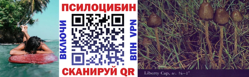 Галлюциногенные грибы Psilocybe  Лесосибирск 
