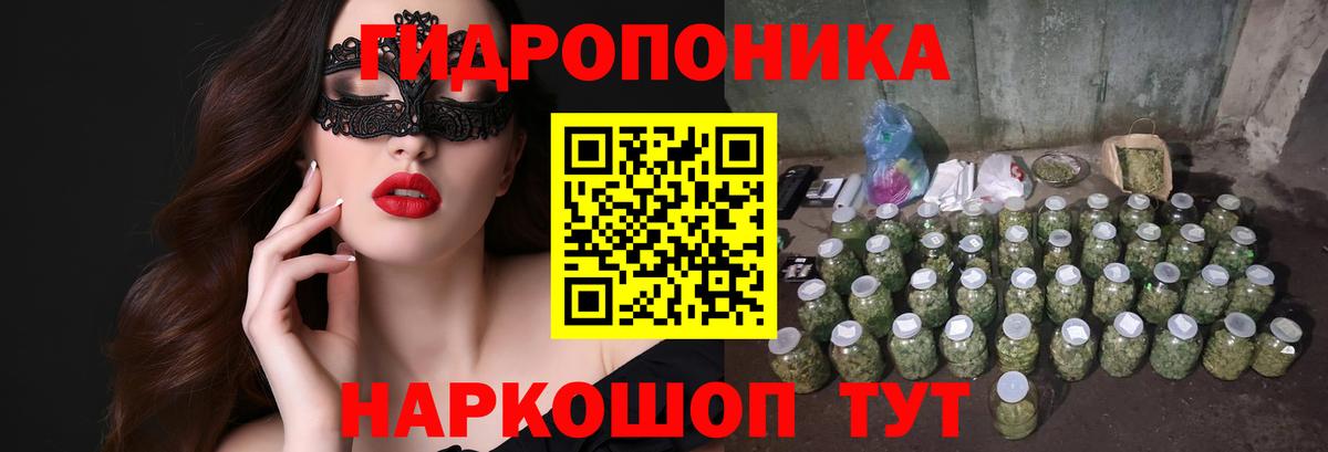 Каннабис планчик  Вход с VPN  Конопля сатива  Бошки марихуана White Widow  Лесосибирск 